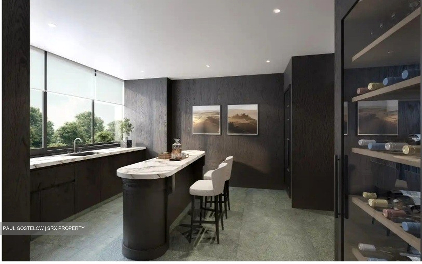 21 Anderson (D10), Condominium #496692801